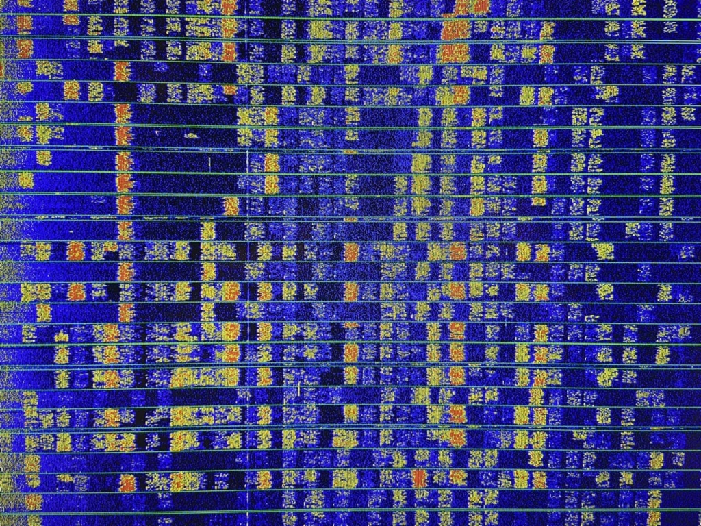 ZS6KVZ QTH - January 2026